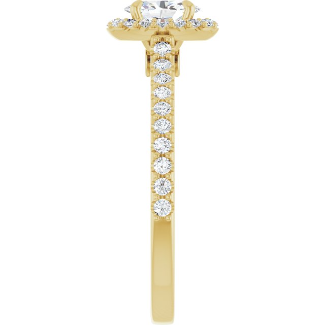 oval-14K Yellow gold