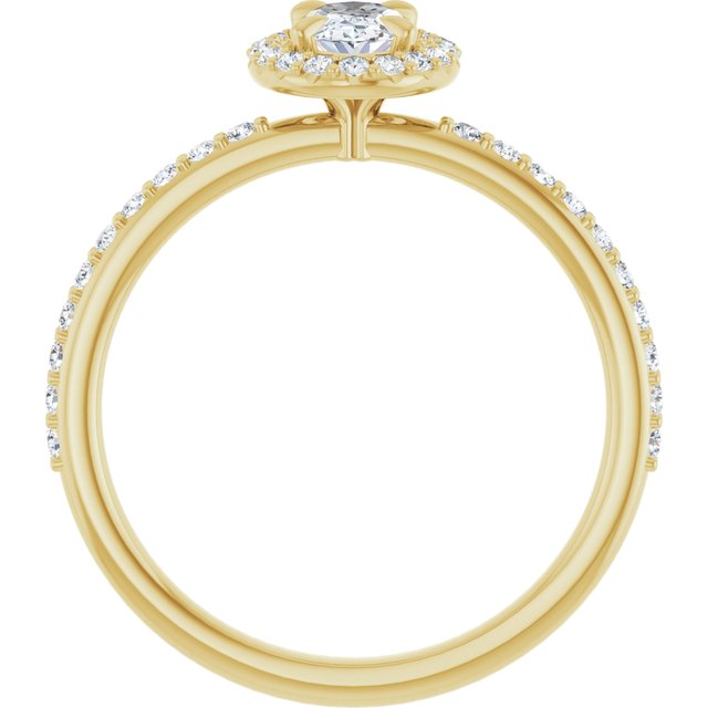 oval-14K Yellow gold