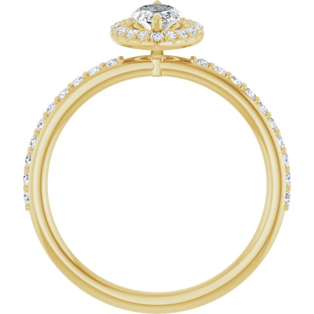 marquise-14K Yellow gold