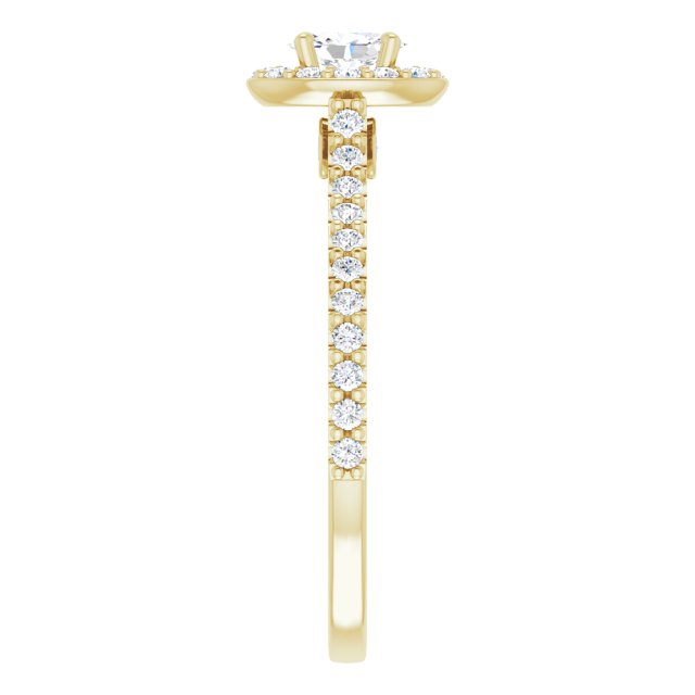 oval-14K Yellow gold