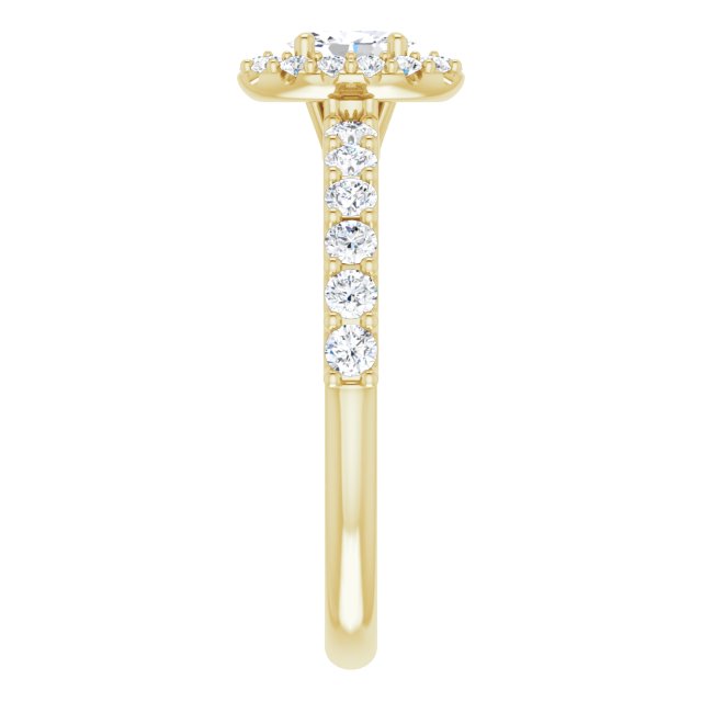 oval-14K Yellow gold