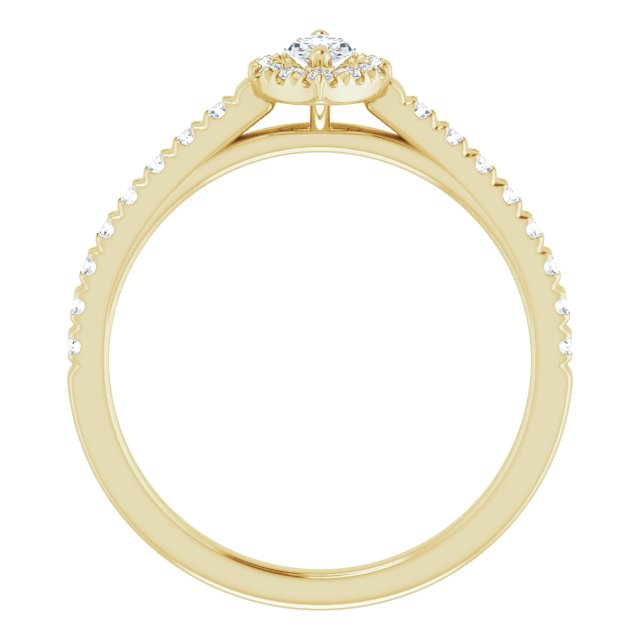 marquise-14K Yellow gold
