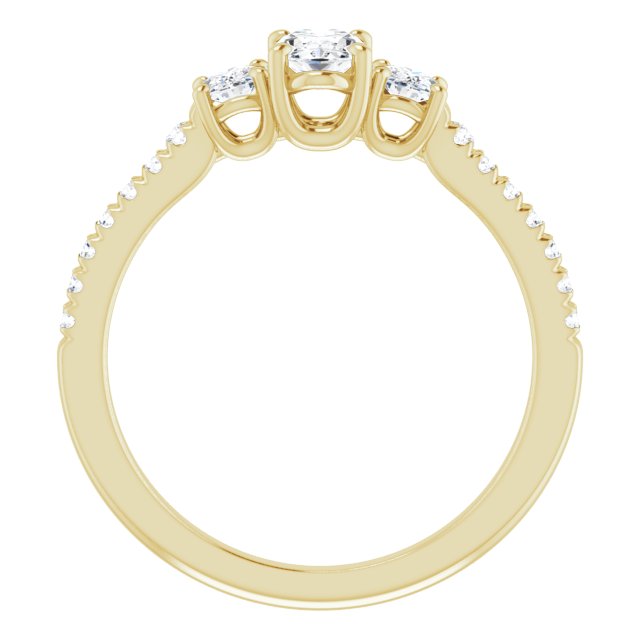 oval-14K Yellow gold